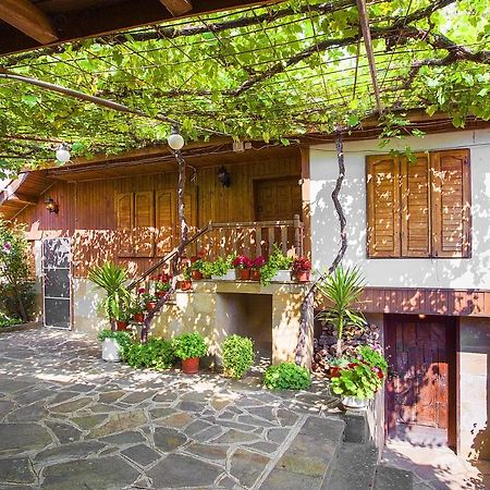 Хаджикольовата Къща Villa Medven ภายนอก รูปภาพ