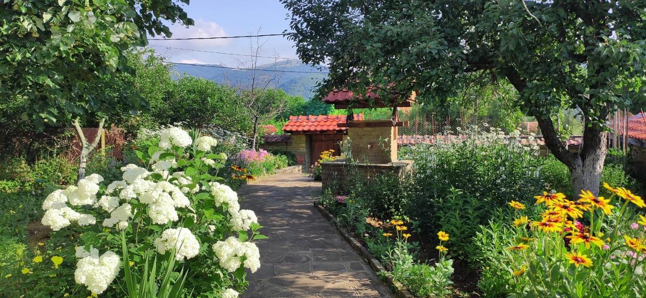 Хаджикольовата Къща Villa Medven ภายนอก รูปภาพ