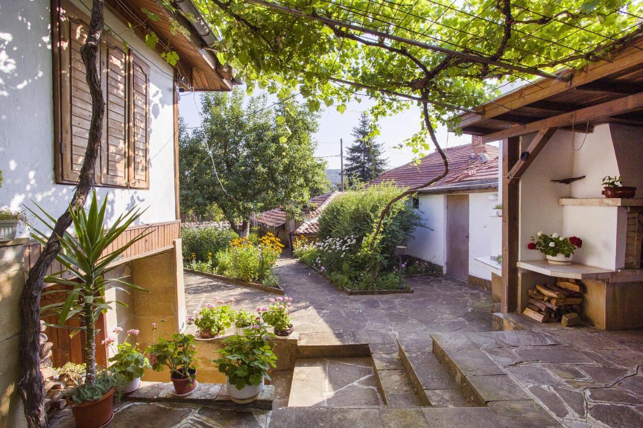 Хаджикольовата Къща Villa Medven ภายนอก รูปภาพ