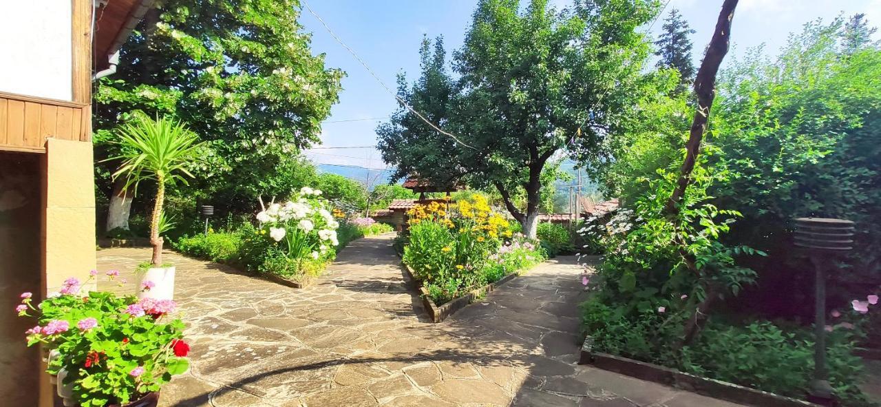 Хаджикольовата Къща Villa Medven ภายนอก รูปภาพ