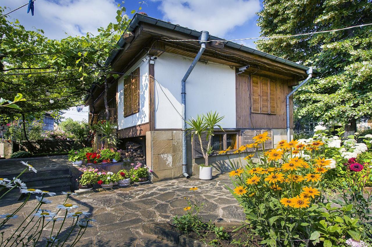 Хаджикольовата Къща Villa Medven ภายนอก รูปภาพ